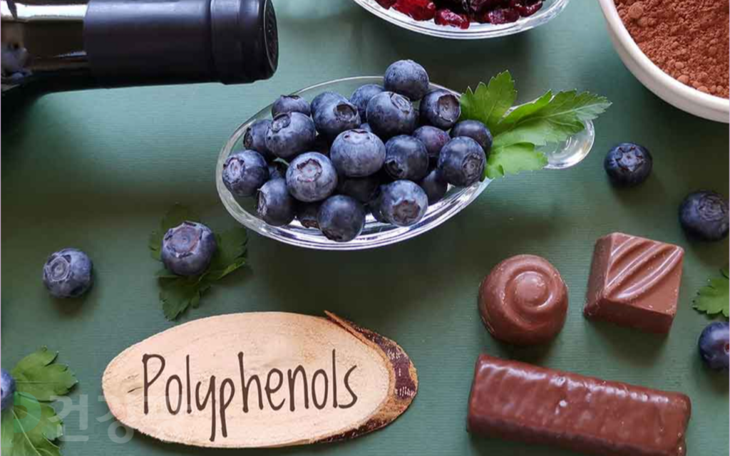 폴리 페놀 효능 7가지, 부작용, 섭취량, 음식 정리