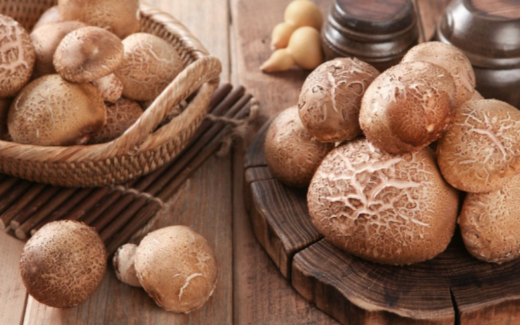 표고버섯 효능 10가지, 부작용, 고르는 방법