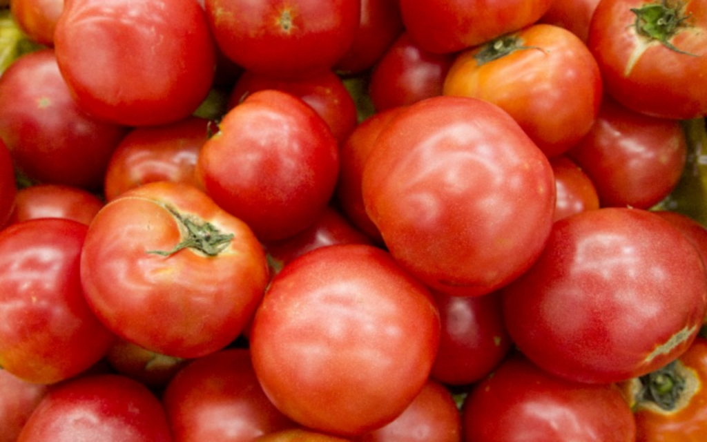토마토 효능 10가지 및 부작용